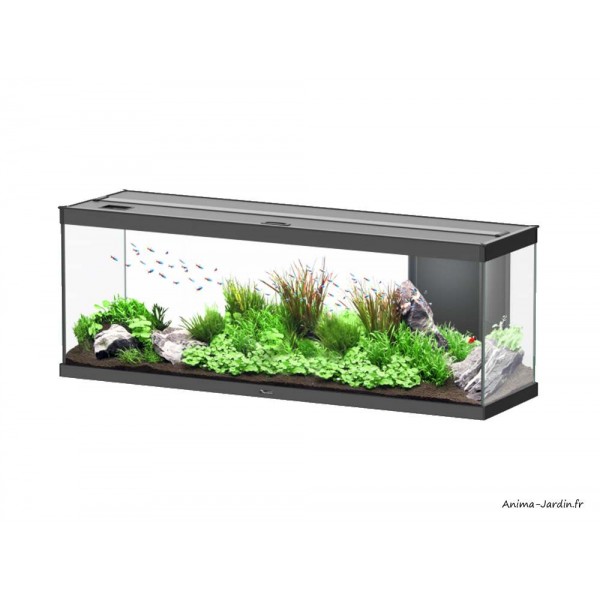 Eclairage Aquarium Led pas cher - Achat neuf et occasion