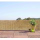 Paillon de roseaux naturels, Reedcane, canisse, brise-vue, ombrage, Nortène, achat, pas cher