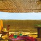 Paillon de roseaux naturels, Reedcane, canisse, brise-vue, ombrage, Nortène, achat, pas cher