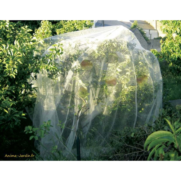 Filet de protection, Protecfruit, protection des fruits, Nortene, achat, pas cher