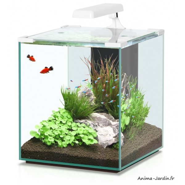 Blijkbaar gezond verstand oplichter Aquarium, Nano Cubic 40, inclus éclairage et filtre, Aquatlantis, achat, pas  cher