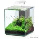 Aquarium, Nano Cubic 30, inclus éclairage et filtre, Aquatlantis, achat, pas cher