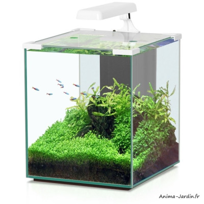 Aquarium, Nano Cubic 30, inclus éclairage et filtre, Aquatlantis, achat, pas cher