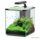 Aquarium, Nano Cubic 30, inclus éclairage et filtre, Aquatlantis, achat, pas cher