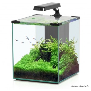 Aquarium, Nano Cubic 30, inclus éclairage et filtre, Aquatlantis, achat, pas cher