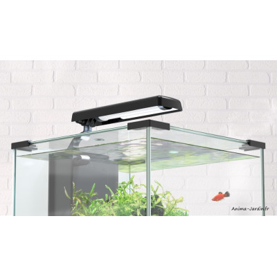Aquarium, Nano Cubic 30, inclus éclairage et filtre, Aquatlantis, achat, pas cher