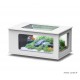 Aquarium, Aquatable, capacité 177L, inclus éclairage et filtre, Aquatlantis, achat, pas cher