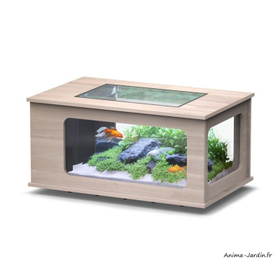 Aquarium, Aquatable, capacité 177L, inclus éclairage et filtre, Aquatlantis, achat, pas cher