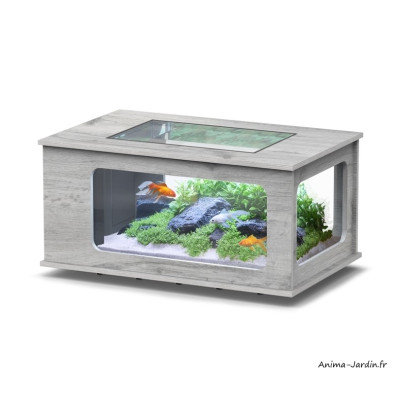 Aquarium, Aquatable, capacité 177L, inclus éclairage et filtre, Aquatlantis, achat, pas cher