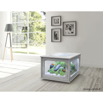 Aquarium, Aquatable, capacité 177L, inclus éclairage et filtre, Aquatlantis, achat, pas cher