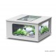 Aquarium, Aquatable, 100x100 cm, capacité 307L, inclus éclairage et filtre, Aquatlantis, achat, pas cher