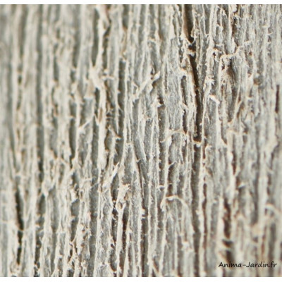 Abri en résine, Brossium 757, 4 m², gris, avec plancher, abri de jardin, achat, pas cher