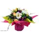 Bouquet Bulle Tulipe, Gerbera & Delphinium, H.34 cm, composition de fleurs, toussaint, rameaux, tergal, achat, pas cher