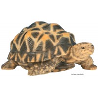 Tortue étoilée, bébé tortue, 14cm en résine, déco de jardin, animal, reptile, riviera, achat