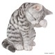 Shorthair Gris, 26cm, chat en résine, décoration du jardin, animal, Riviera, achat