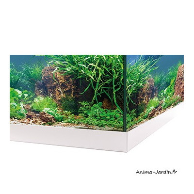 Aquarium Aquastar 54 LED, kit complet, éclairage, filtre, pompe, Eheim, achat, pas cher