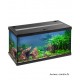 Aquarium Aquastar 54 LED, kit complet, éclairage, filtre, pompe, Eheim, achat, pas cher