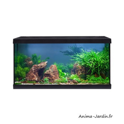 Aquarium Aquastar 54 LED, kit complet, éclairage, filtre, pompe, Eheim, achat, pas cher