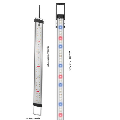 Aquarium Incpiria Marine 330 avec meuble, kit complet, éclairage, filtre, pompe, Eheim, achat, pas cher