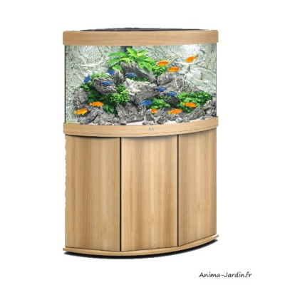Aquarium Trigon 190 LED, aquarium d'angle, 190 Litres, kit complet, éclairage, filtre, pompe, Juwel, achat, pas cher
