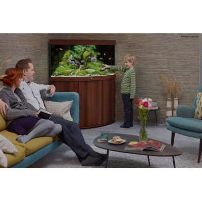 Aquarium Trigon 350 LED, aquarium d'angle, 350 Litres, kit complet, éclairage, filtre, pompe, Juwel, achat, pas cher