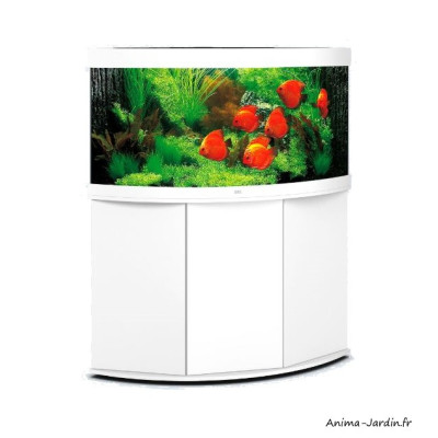 Aquarium Trigon 350 LED, aquarium d'angle, 350 Litres, kit complet, éclairage, filtre, pompe, Juwel, achat, pas cher