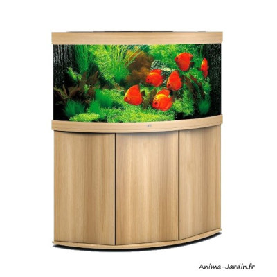 Aquarium Trigon 350 LED, aquarium d'angle, 350 Litres, kit complet, éclairage, filtre, pompe, Juwel, achat, pas cher