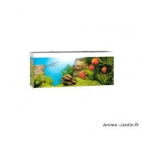 Aquarium Rio 450 LED, 450 Litres, kit complet, éclairage, filtre, pompe, Juwel, achat, pas cher