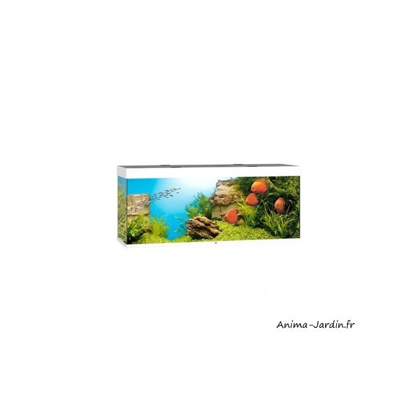 Aquarium Rio 450 LED, 450 Litres, kit complet, éclairage, filtre, pompe, Juwel, achat, pas cher