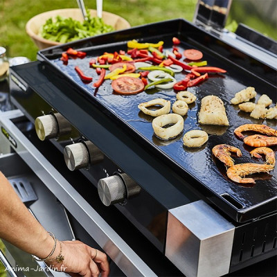 Plancha FINESTA 3 brûleurs avec capot, gaz, 75 cm,  Cook'in Garden, achat, pas cher