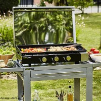 Plancha FINESTA 3 brûleurs avec capot, gaz, 75 cm, Cook'in Garden, achat, pas cher