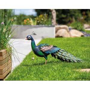 Paon en métal, Peacky, animal décoratif stylisé, décoration du jardin,  Nortene, achat, pas cher