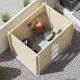 Abri de jardin en bois, Juno Modern 4,00 m², 19 mm, toit monopente, rangement, Forest-Style, achat, pas cher