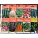 Lot de 10 sachets de graines légumes potager, jardin ouvrier, français, économique, achat, pas cher