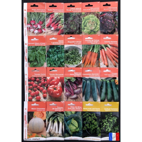 Lot de 8 sachets de graines, variétés originales, potager, jardin ouvrier,  Sanrival, pas cher, économique