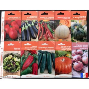 Lot de 10 sachets de graines légumes potager, jardin ouvrier, français,  économique, achat, pas cher