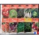 Lot de 10 paquets graines légumes potager, jardin ouvrier, français, économique, achat, pas cher