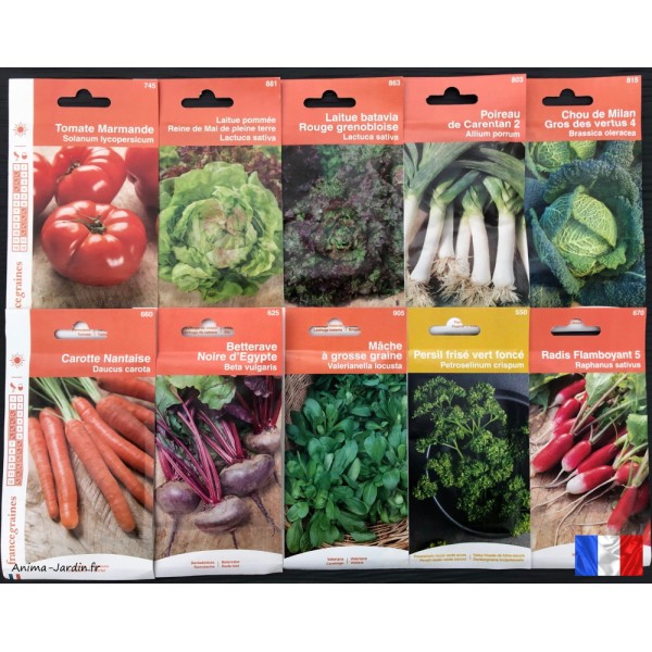 Lot de 10 paquets graines légumes potager, jardin ouvrier, français,  économique, achat, pas cher