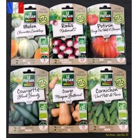 Lot de 12 Sachets de Graines de Légumes à Planter  Tomate, concombre,  radis, betterave, chou-fleur, brocoli, laitue, carotte, chou rave,  courgette, poivron : : CD et Vinyles