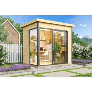 Abri de jardin en bois, DOMEO Mini+, 4,61 m², 44 mm, avec baie vitrée double vitrage, moderne, achat