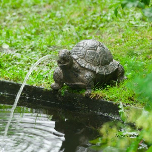 Tortue, H.14 cm, cracheur d'eau, décoration bassin, Ubbink, achat, pas cher