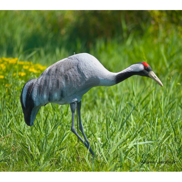 Grue cendrée, H.121 cm, décoration extérieure, animal, Ubbink, achat, pas cher