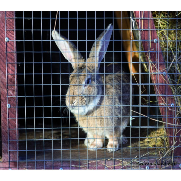 Grillage galvanisé, gris, Ideal Garden, Netlon