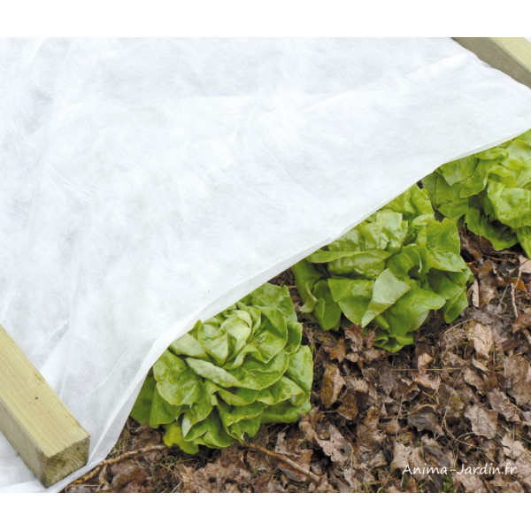 Voile hivernale, 2 x 250 m, Ideal Garden