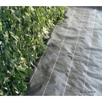 Grande housse d'hivernage zippée, 70 g/m², protection froid, plantes,  Nature, achat, pas cher