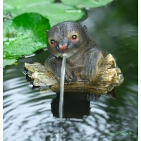 Grenouille H.27 cm, cracheur d'eau, décoration bassin, Ubbink, achat, pas cher