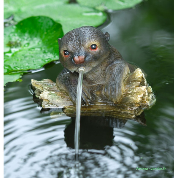 Loutre H,19 cm, cracheur d'eau, décoration bassin, Ubbink, achat, pas cher