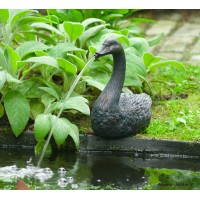 Cygne, cracheur d'eau, décoration bassin, Ubbink, achat, pas cher