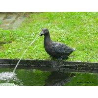 Canard H,24 cm, cracheur d'eau, décoration bassin