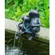 Couple grenouille, cracheur d'eau, décoration bassin, Ubbink, achat, pas cher